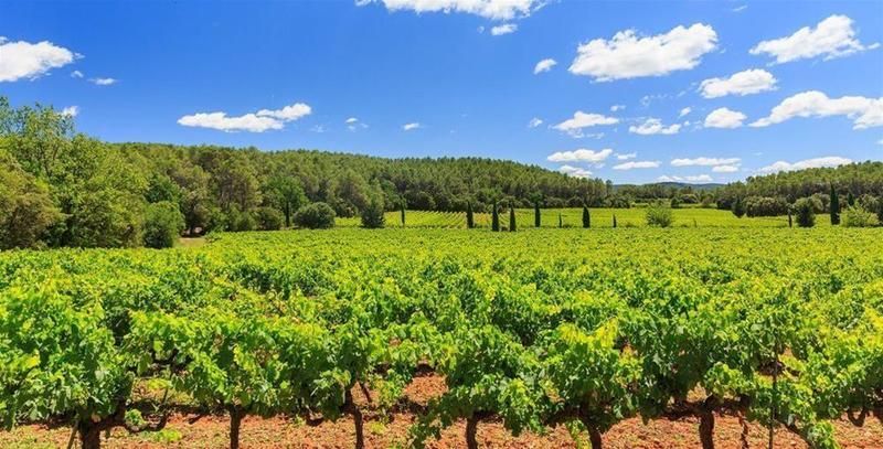 Clos de l'Ours -1 stelle a Cotignac