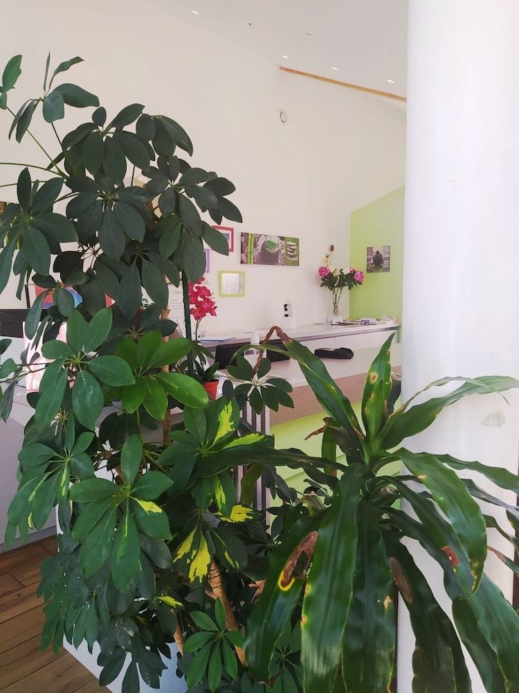 Hôtel de l'Ile du Saussay 3