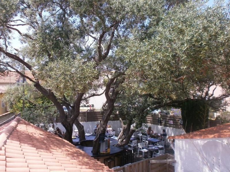 Blue Hotel La Seyne sur Mer 3