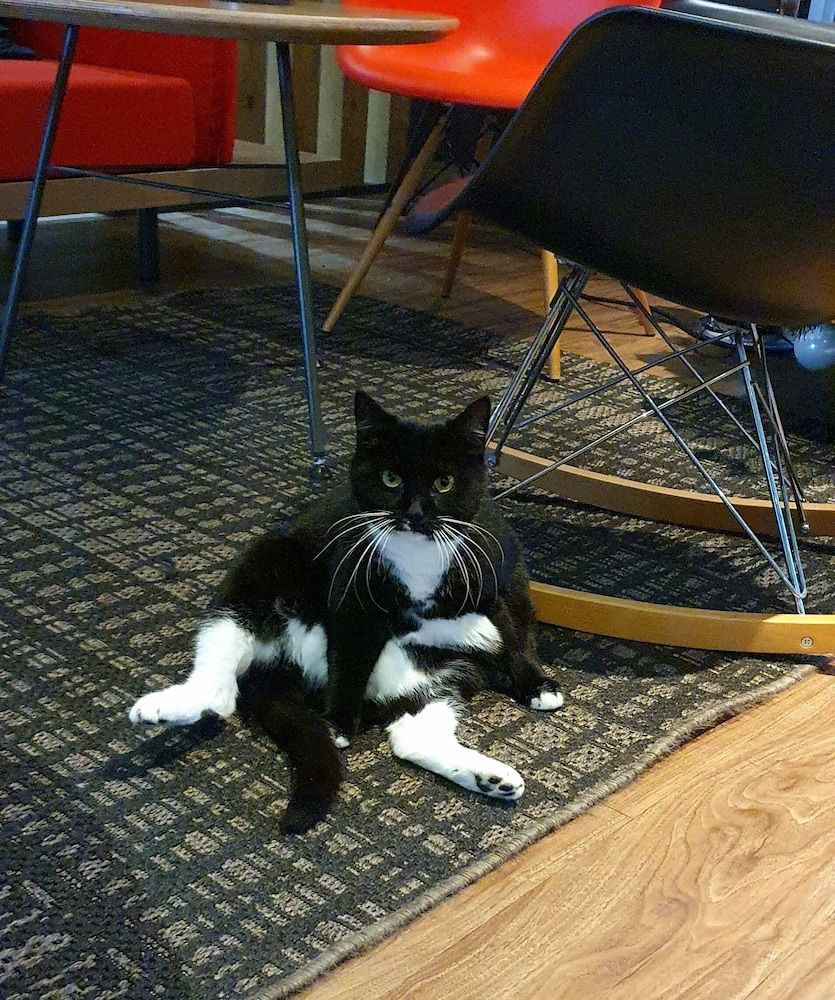 ibis Arcachon La Teste 3