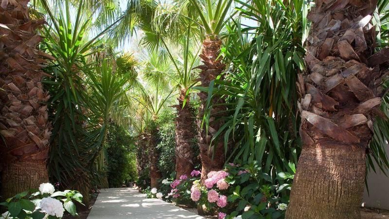 Hotel & Restaurant Mango Fango 3