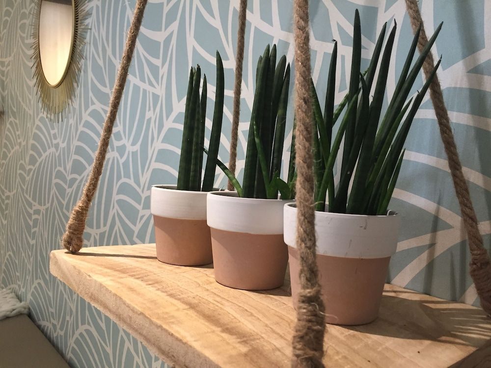 Novotel Pau Pyrénées 3