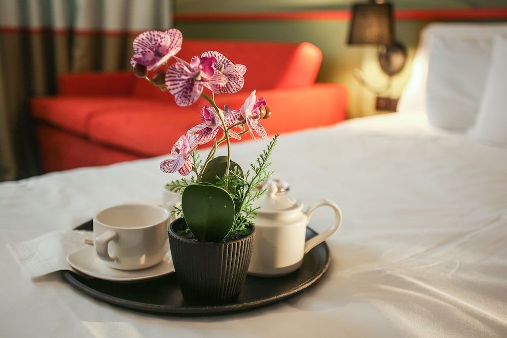 ibis Styles Lisieux Normandie (ex Mercure) 2