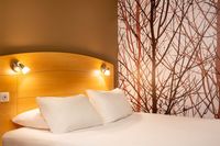 Sure Hotel by Best Western Plaisir+Billet Thoiry ZooSafari - 1 jour