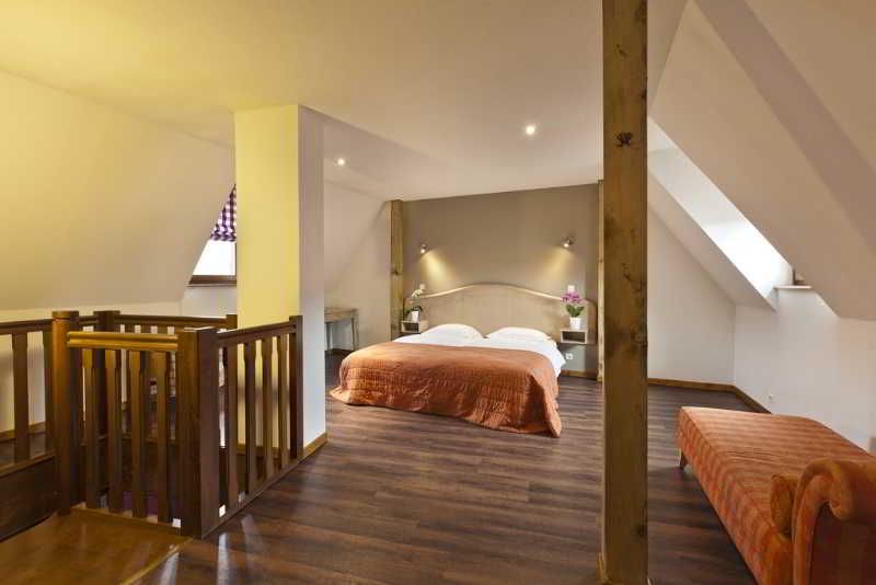 Hotel au Lion Ribeauville 3