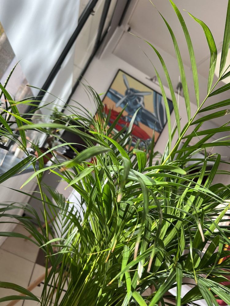 Hôtel Vieille Tour Centre Rouen 2