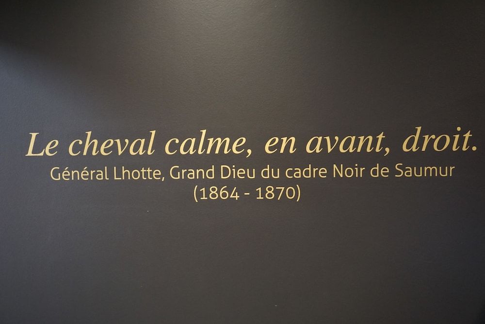 Mercure Bords De Loire Saumur 3
