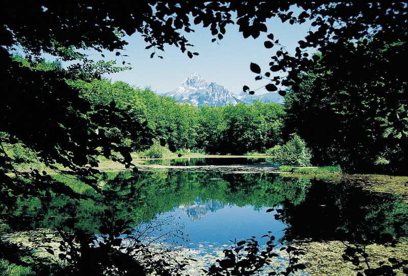 Hotel  Le Bois Joli 3