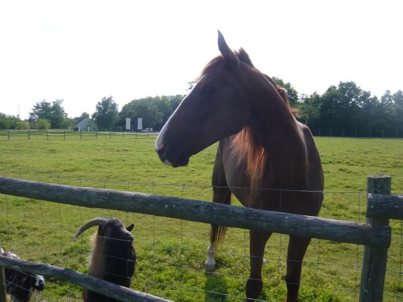 Domaine Du Normandoux 2