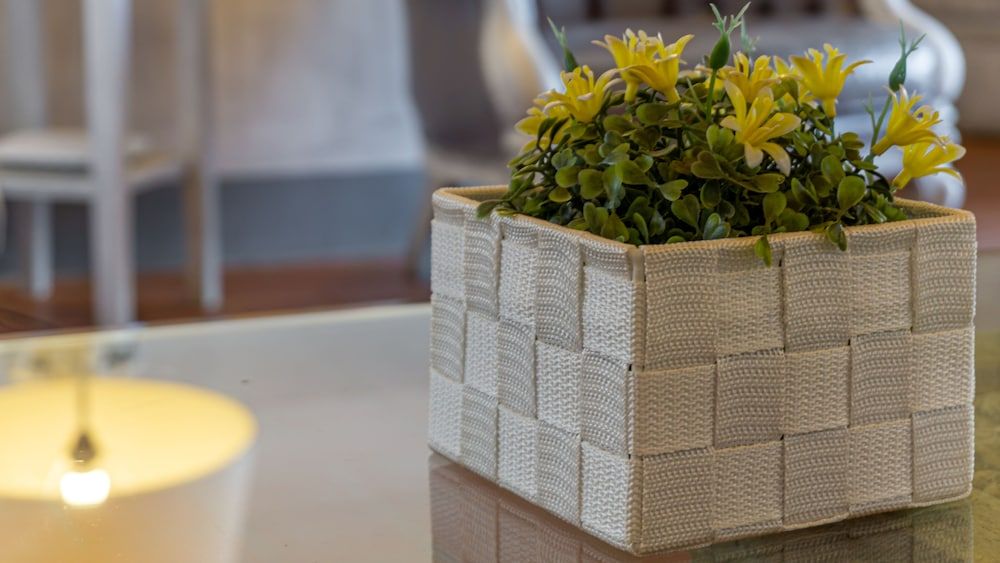 Il Castagnolo BB Country House 3