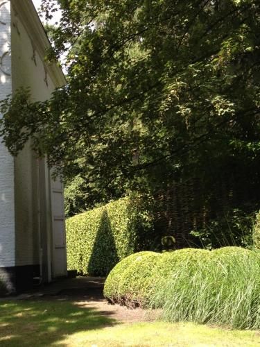 B&B 't Wit Huys Brugge 1