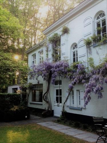 B&B 't Wit Huys Brugge 3