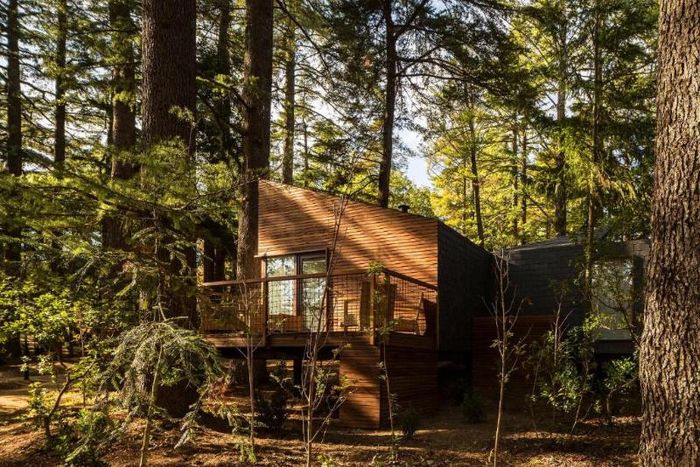 🌳 Retiro na Natureza em Eco Houses 4* 🏡Pedras Salgadas