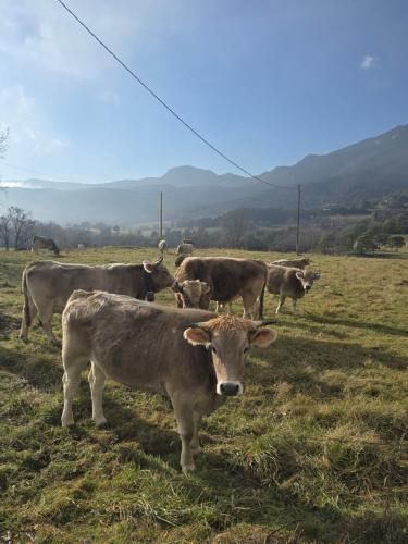 Complex Rural Can Caubet 2