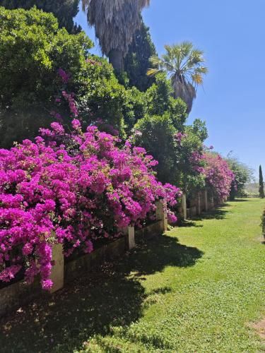 Finca La Favorita- Suites 3