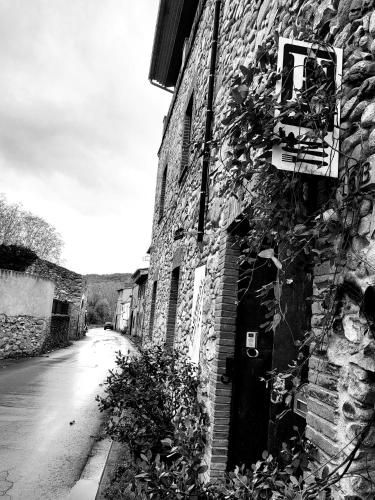 HOTEL PASTERAL RIU TER 2