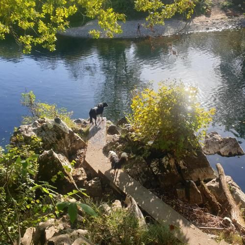 El Búho de la Remolina 2