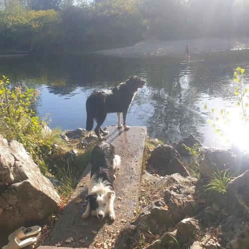 El Búho de la Remolina 3