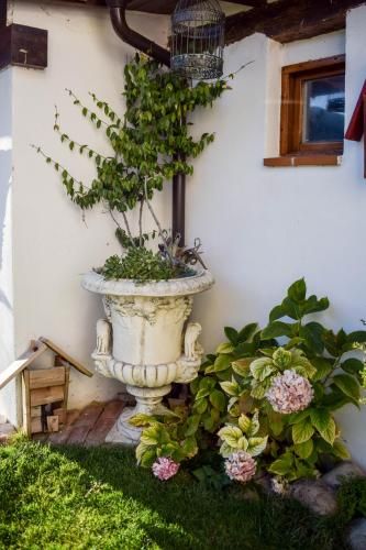 Naquela Castroviejo 3