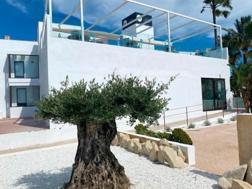 Soul Beach Hotel By Mc - Adults Recommended 4 estrellas en Els Poblets