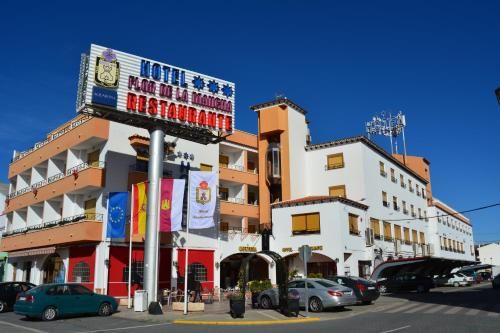 Hotel Flor de la Mancha 1