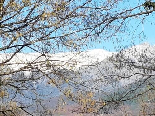 Hosteria Doña Conchi 1