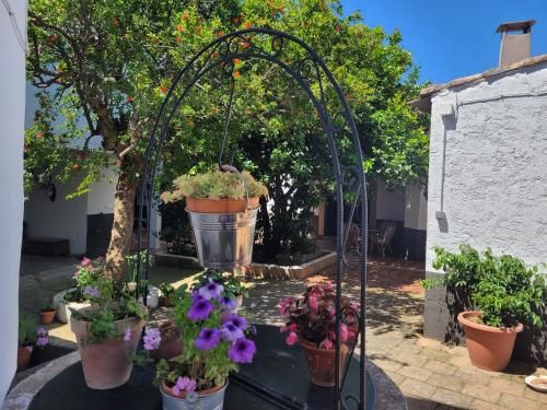 El Escudo de Calatrava 2