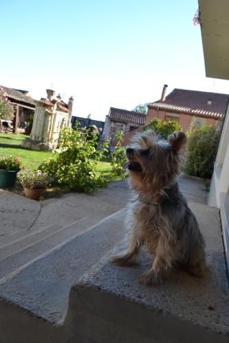 Amanecer en Campos 3