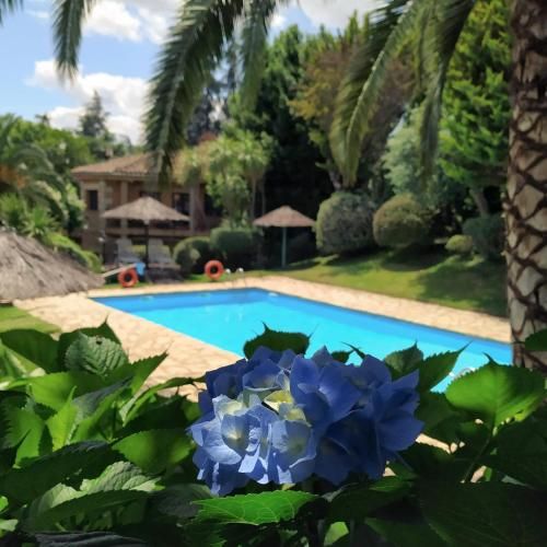 Apartamentos El Calambuco 1