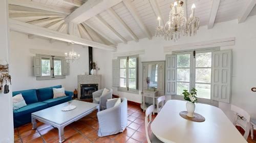 Abejas 1 de El Vergel de Chilla 2