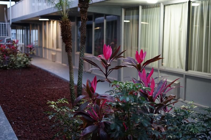 Celebration Suites 2