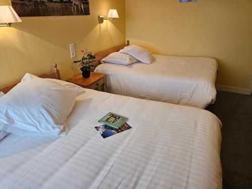 Logis Hôtel Restaurant L'Unique 3