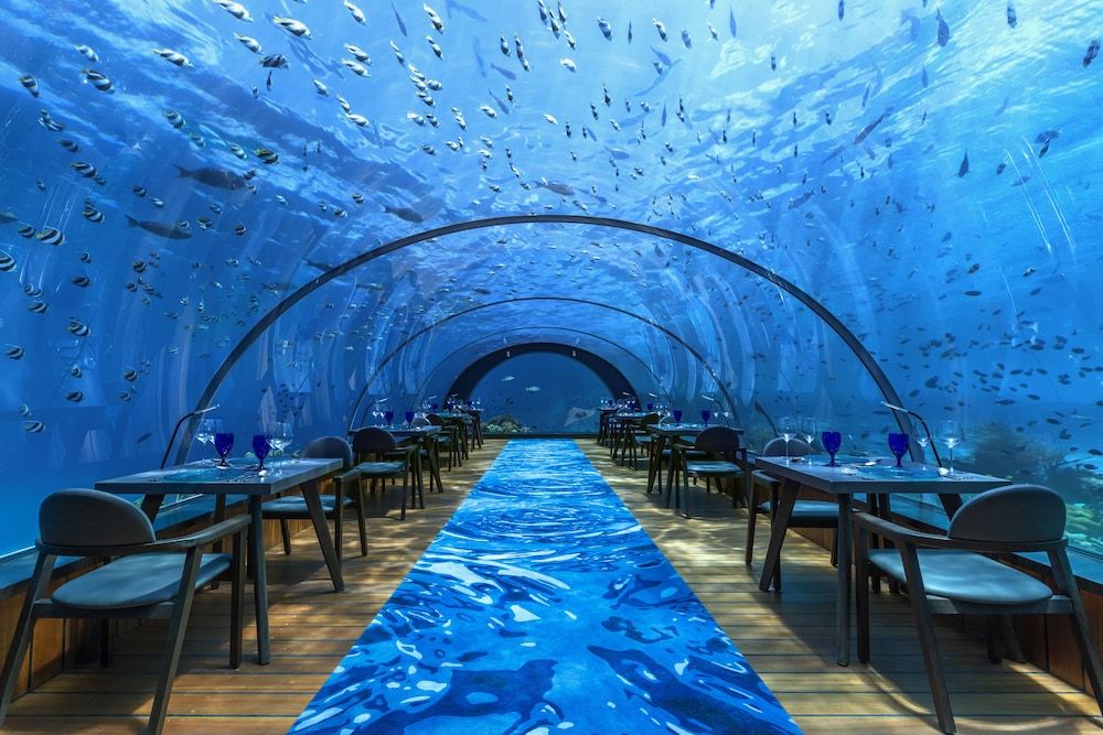 Hurawalhi Island Resort 1