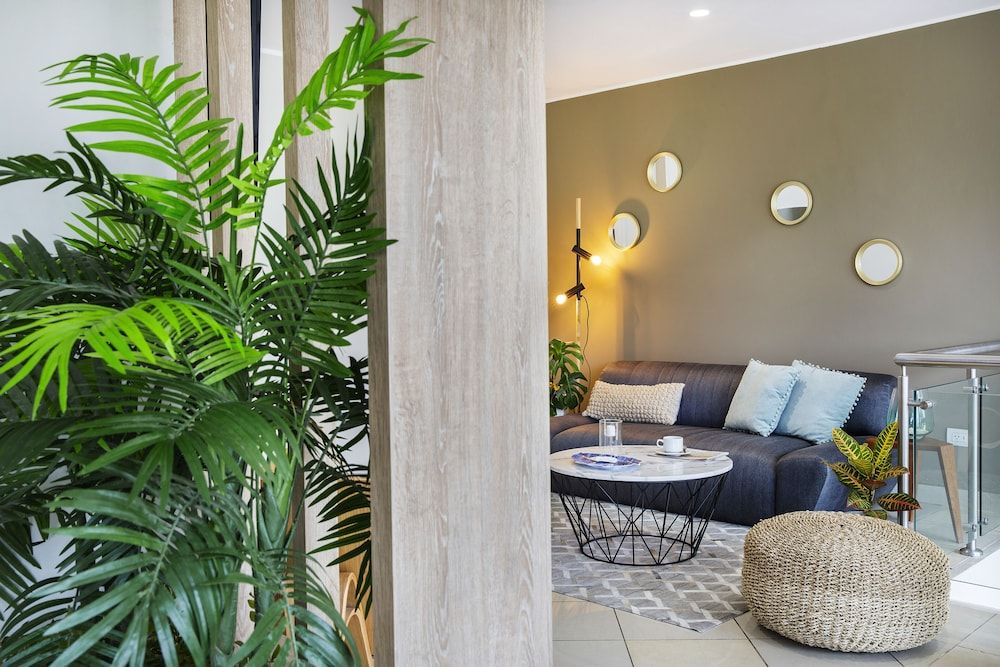 Palmetto La Perla 3