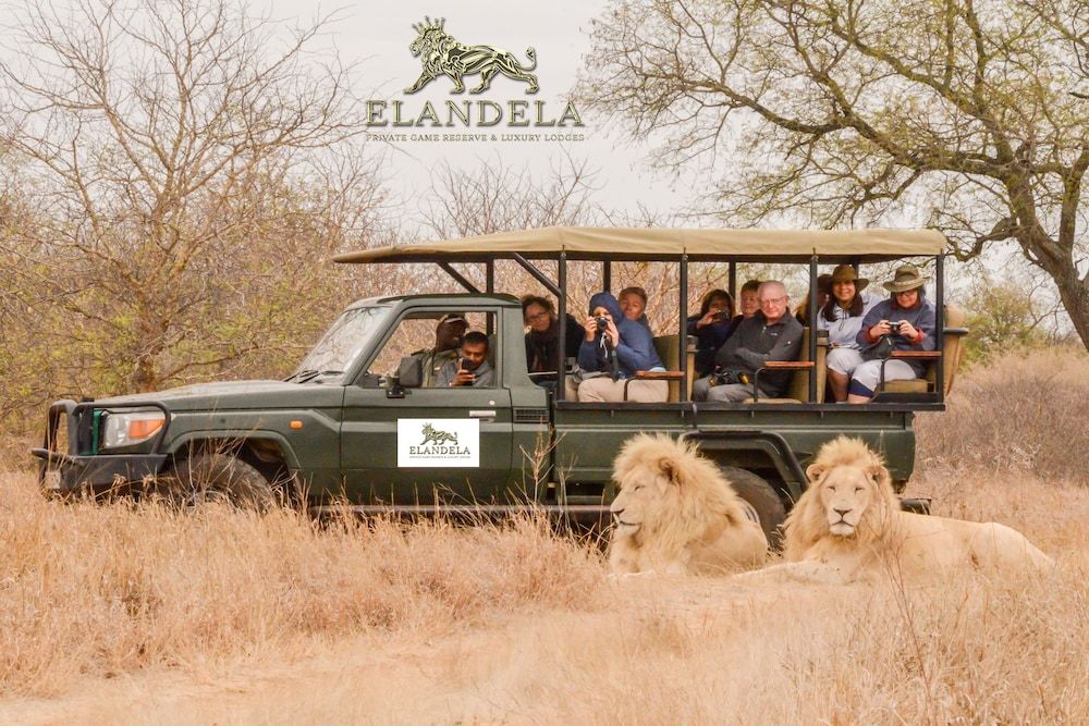 Elandela Private Game Reserve & Luxury Lodge 1