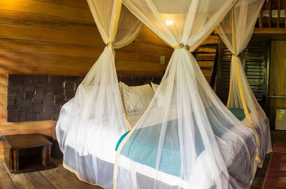 Hotel On Vacation Amazon 3