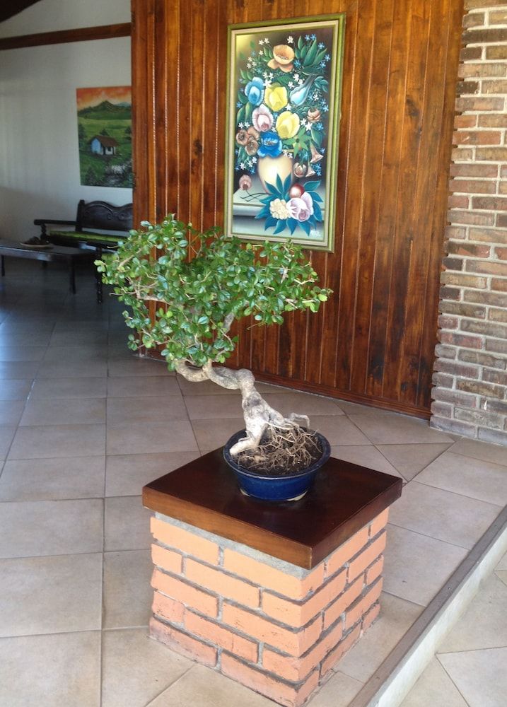 Las Espuelas Hotel 2