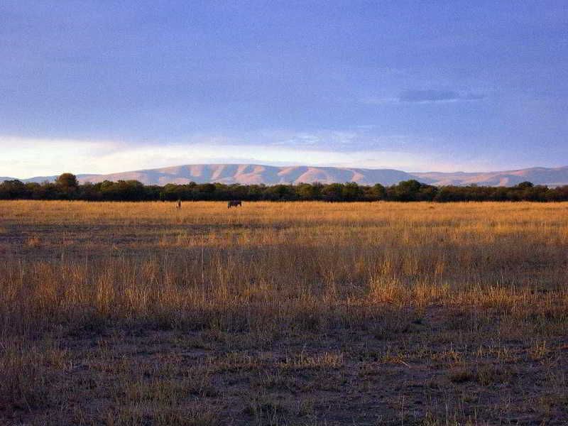 Ditholo Game Lodge 2