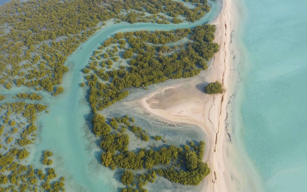 Anantara Al Yamm Villas Sir Bani Yas Island 5 estrelas em Ilha Sir Bani Yas