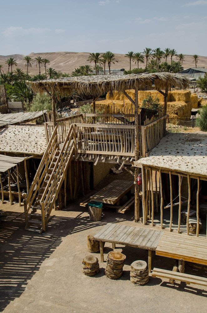 Kfar Hanokdim A GREEN ISLAND IN THE DESERT 3
