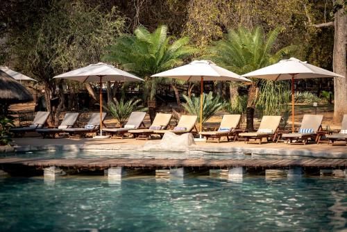 Karongwe- Shiduli Safari Lodge 3