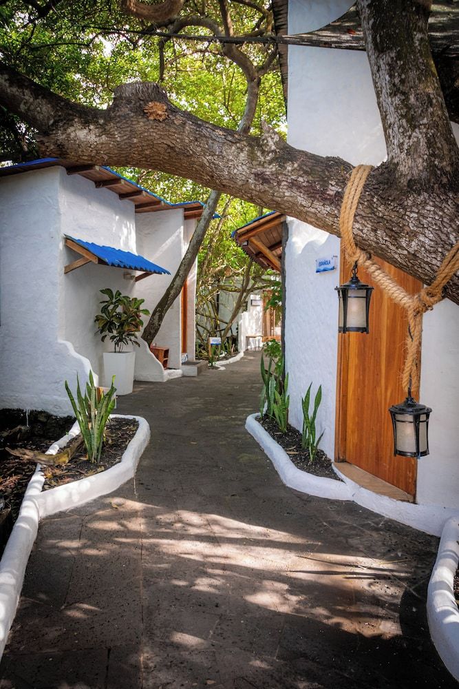 Blu Galapagos Sustainable Waterfront Lodge 3