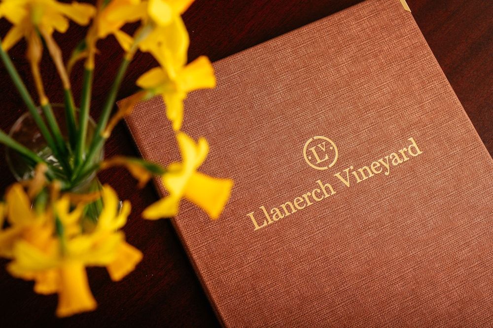 Llanerch Vineyard Hotel 2