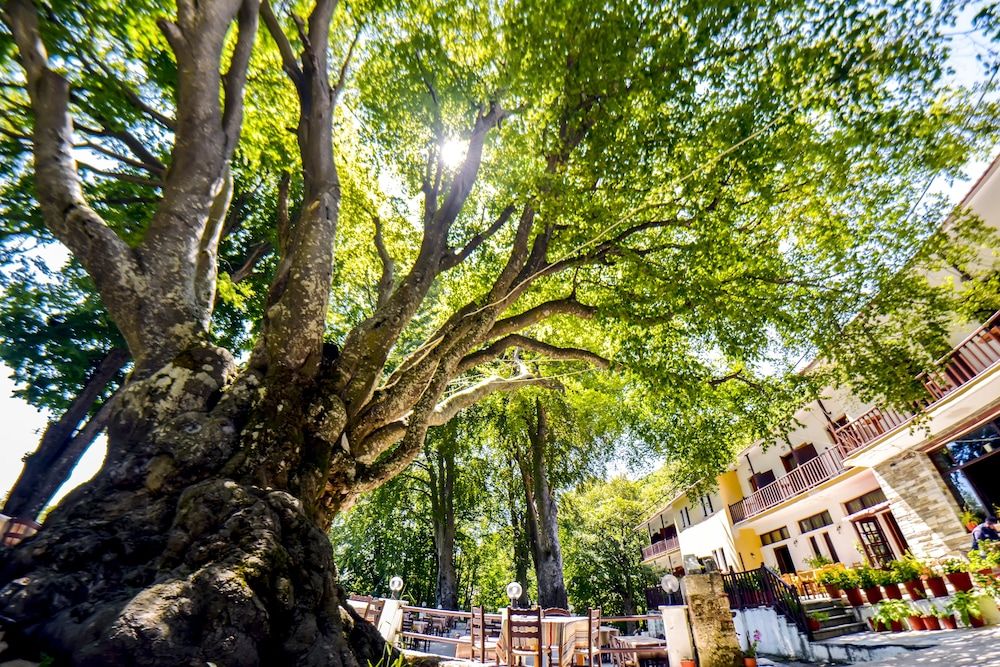 Hani Zisi Hotel 2 estrelas em Volos