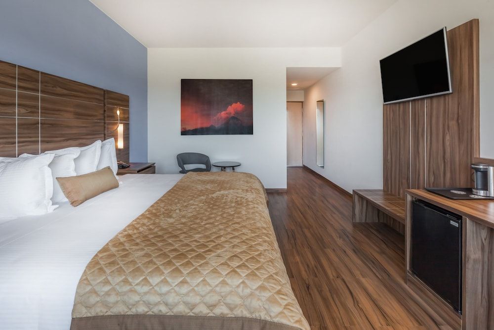 Gamma Colima Garden 3