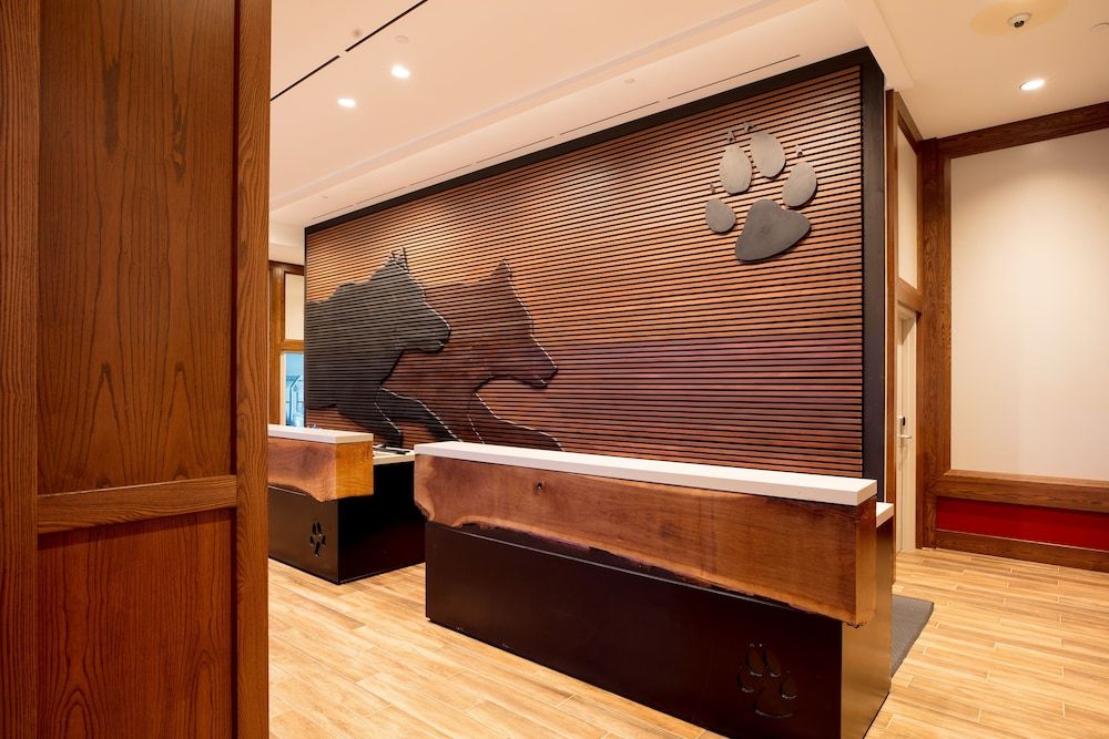 Great Wolf Lodge Gurnee 3