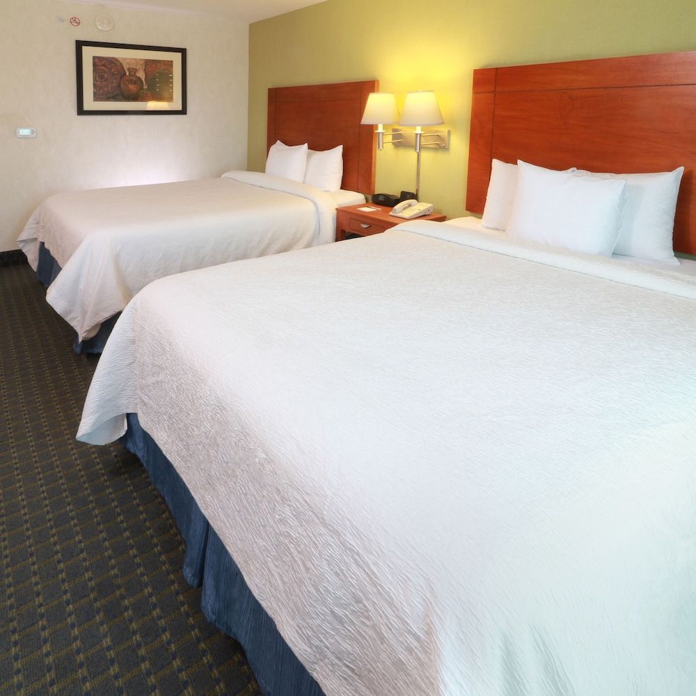 Hampton Inn By Hilton Reynosa Zona Industrial 3