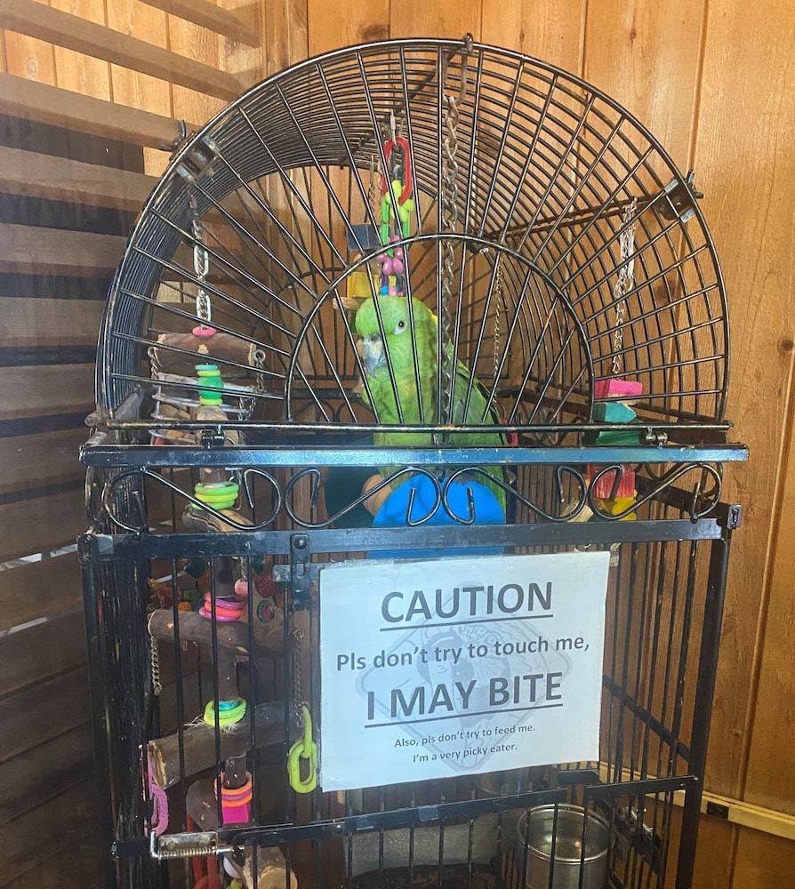 Village Inn Destin 2