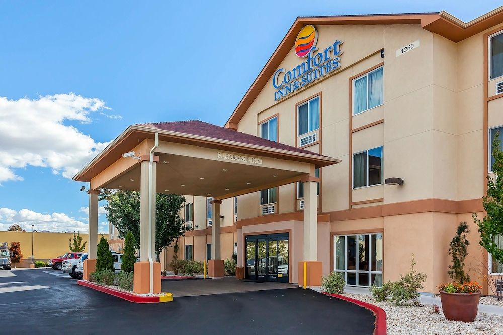 Comfort Inn & Suites Airport 1