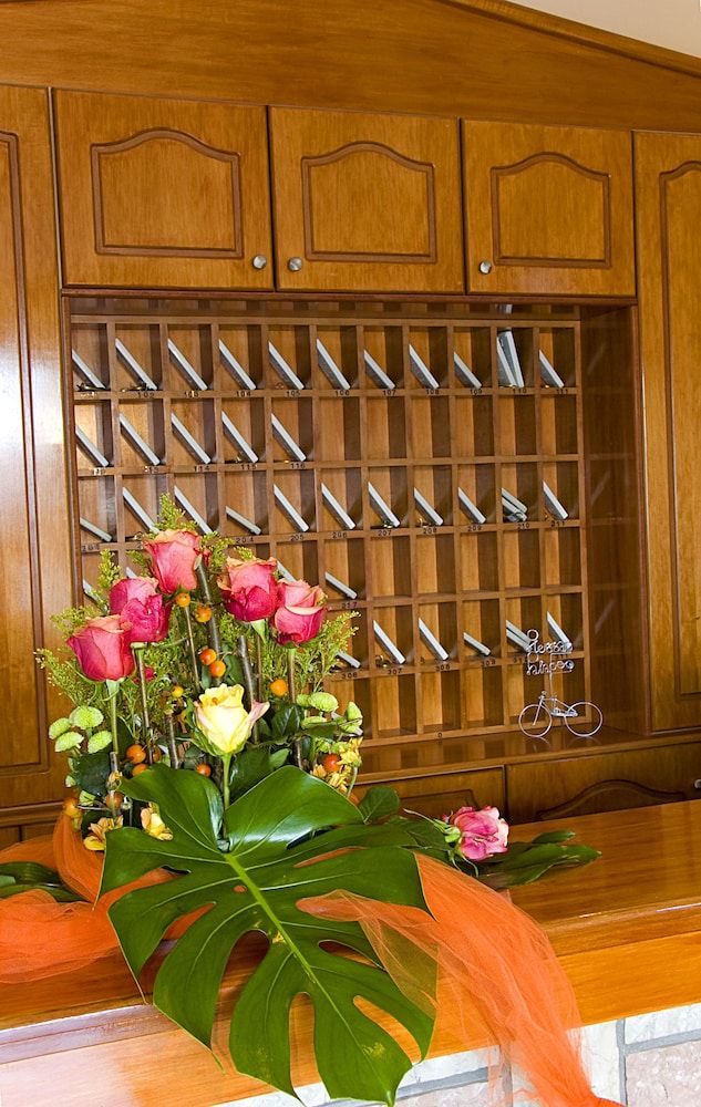 Plessas Palace Aparthotel 2